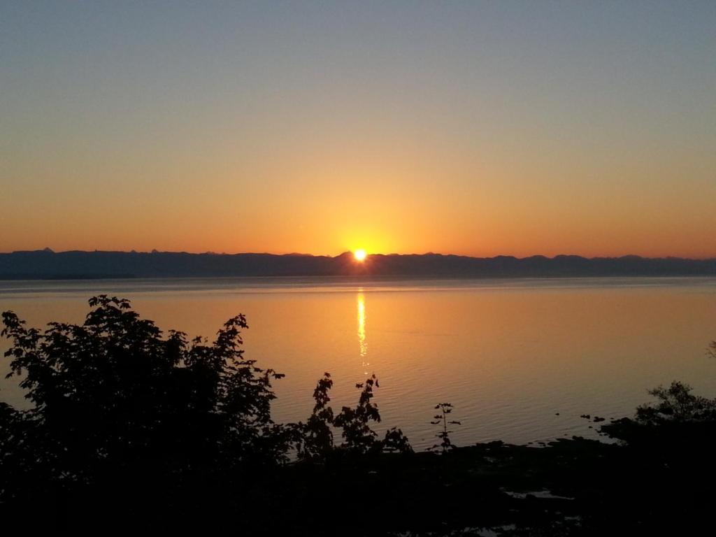 Edgewater Motel Campbell River Zewnętrze zdjęcie